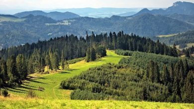 Góry, które często i chętnie odwiedzają turyści są często zaśmiecone. Stąd apel i akcja. [fot. archiwum]