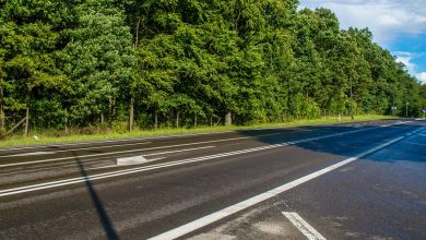 GDDKiA zamyka przejścia dla zwierząt wzdłuż autostrad i dróg ekspresowych. Taką decyzję podjął premier (fot.poglądowe/www.pixabay.com)