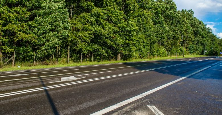 GDDKiA zamyka przejścia dla zwierząt wzdłuż autostrad i dróg ekspresowych. Taką decyzję podjął premier (fot.poglądowe/www.pixabay.com)