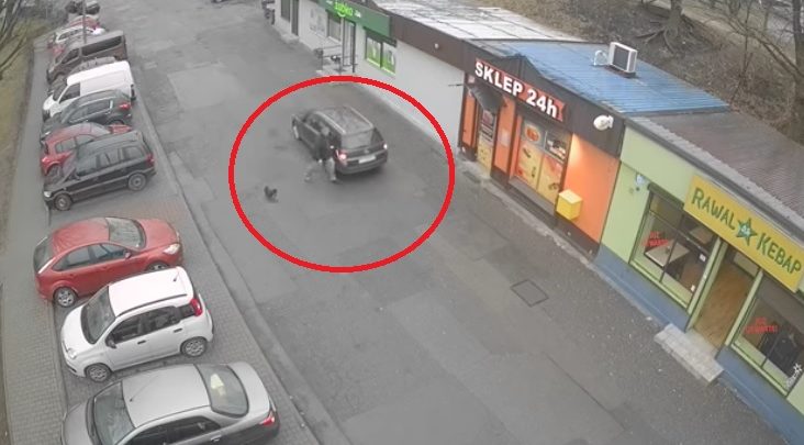 Kierowca w Rudzie Śląskiej potrącił pieszego, który zwrócił mu uwagę! foto: youtube.com/Business Control MONITORING