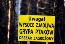 Wojewoda Śląski: Rybnik oraz powiat rybnicki stanowi „obszar zagrożenia”