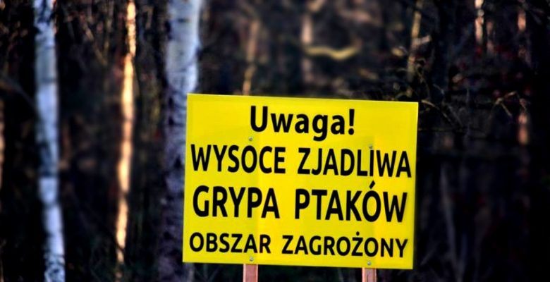 Wojewoda Śląski: Rybnik oraz powiat rybnicki stanowi „obszar zagrożenia”