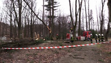 Gwałtowne wichury przeszły przez woj. śląskie. Strażacy wyjeżdżali do zdarzeń blisko 600 razy