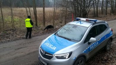 Śląskie: Ogromna akcja poszukiwawcza z happy endem! 67-latek odnaleziony