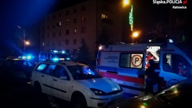 Katowice: Zaatakowała dwie kobiety nożem. Mieszkanka Sosnowca z zarzutami (fot.Śląska Policja)