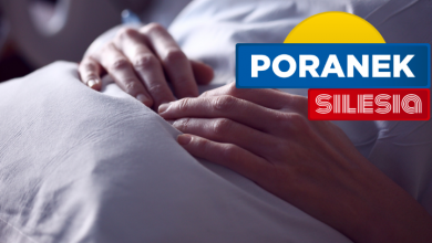 Endometrioza (fot. pixabay.com)