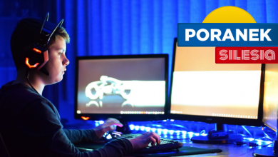 Bezpieczeństwo dziecka w sieci (fot. pixabay.com)