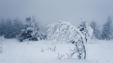 Prosimy o wstrzymanie się z wychodzeniem na babiogórskie szlaki do czasu poprawy warunków pogodowych i terenowych. [fot. poglądowa / www.pixabay.com]