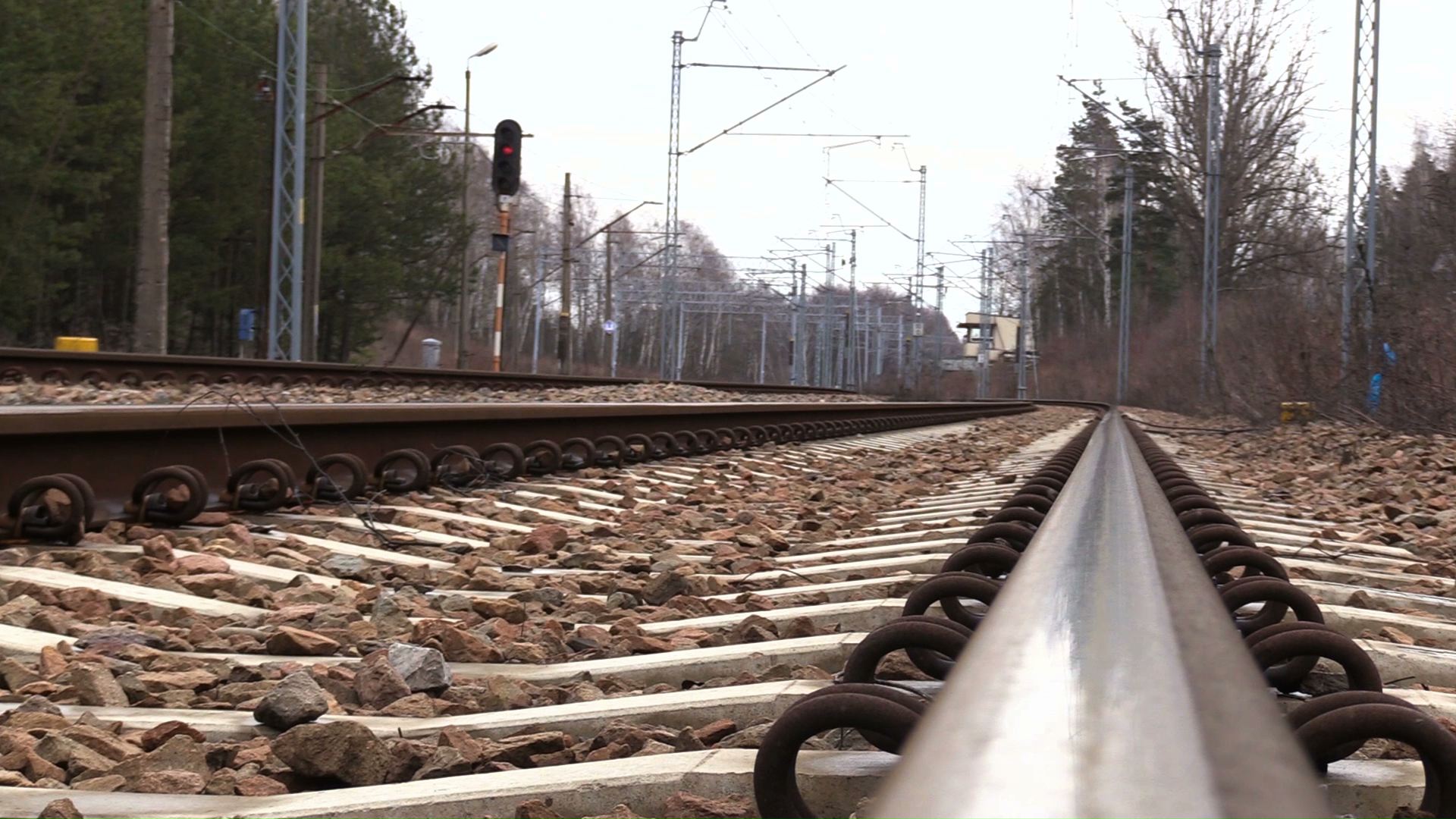 Tory co Centralnego Portu Komunikacyjnego rozjadą rezerwat w Jaworznie?!