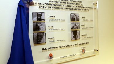 Zginęły podczas akcji. Odsłonięto tablicę upamiętniającą sześć psów policyjnych (fot.policja.pl)