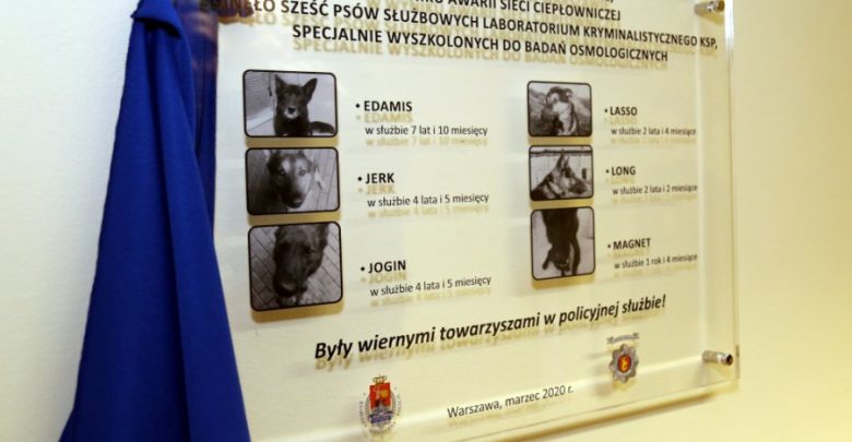 Zginęły podczas akcji. Odsłonięto tablicę upamiętniającą sześć psów policyjnych (fot.policja.pl)