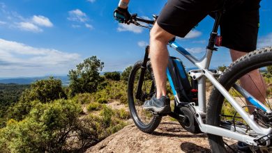 Rowery elektryczne Haibike - dlaczego warto? (źródło foto: fototapeta24.pl)