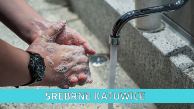 Srebrne Katowice (fot. pixabay.com)