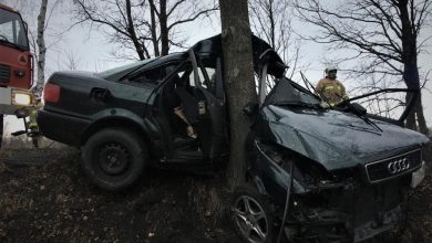 Kompletnie zniszczony pojazd "zawinięty" na drzewie. [fot. Policja Sląska]