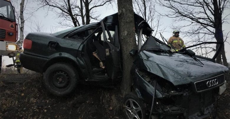Kompletnie zniszczony pojazd "zawinięty" na drzewie. [fot. Policja Sląska]