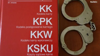 To nie pierwszy przypadek gdy młoda osoba okrada seniora wykorzystując jego bezbronność i nieuwagę. [fot. Śląska Policja]