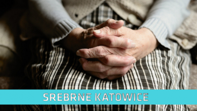 Srebrne Katowice: Koronawirus (fot. pixabay.com)