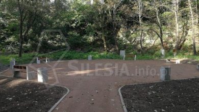 Park Ludowy (fot. silesia.info.pl)