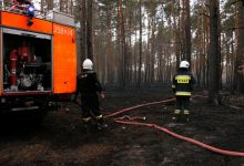 Śląskie: Strażacy dogaszają ogromny pożar lasów pod Częstochową. Straty ogromne!