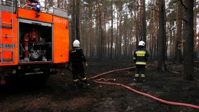 Śląskie: Strażacy dogaszają ogromny pożar lasów pod Częstochową. Straty ogromne!