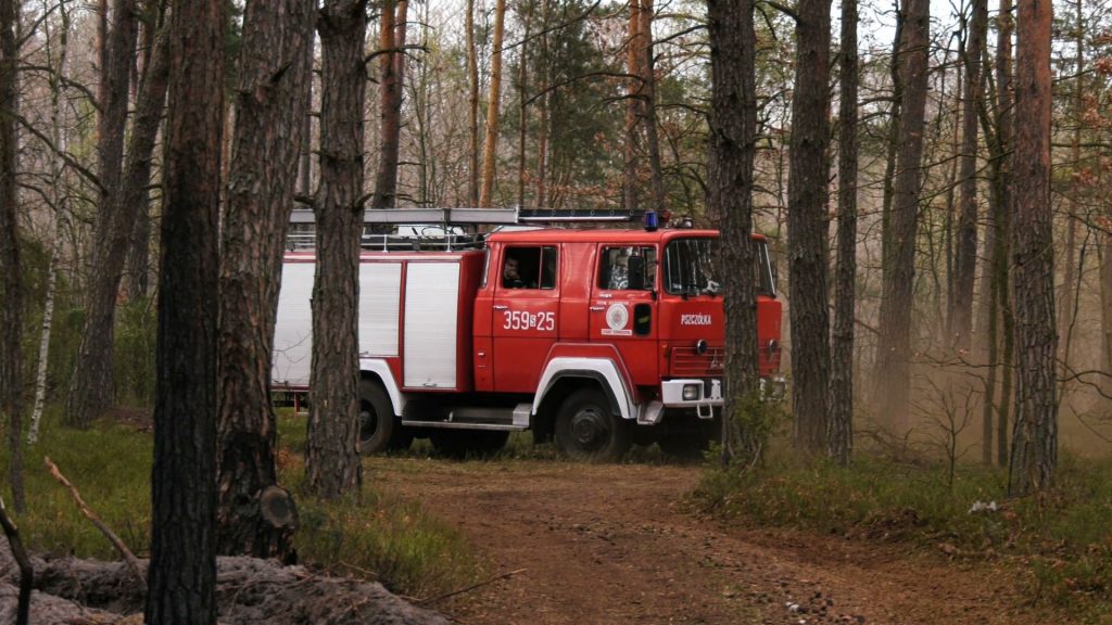 Śląskie: Strażacy dogaszają ogromny pożar lasów pod Częstochową. Straty ogromne!