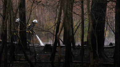 Śląskie: Lasy płoną jak pochodnia! Wszystko przez niemiłosierną suszę!