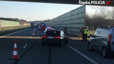 Śląskie: Przechodził przez autostradę. Zginął na miejscu (fot.Śląska Policja)