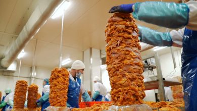 Fabryki w Polsce podglądają, jak powstaje kebab!