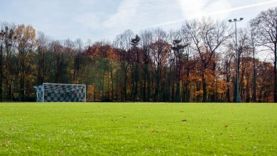 Bytom nie będzie wznawiać zajęć sportowych dla dzieci i młodzieży