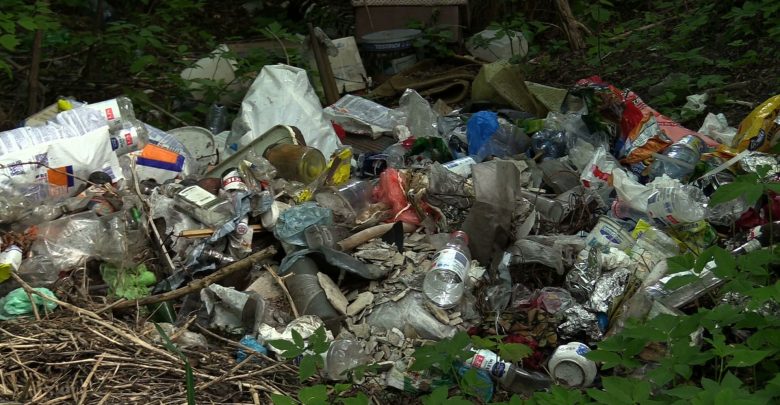Odbiór odpadów we własnym zakresie w Rybniku. Kogo obowiązuje?