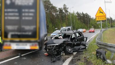 Śląskie: Tragedia w Krzepicach. Nie żyje kierowca forda. Policja szuka świadków (fot.Śląska Policja)