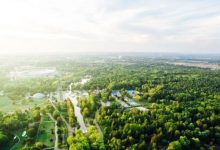 Park Śląski ogranicza koszenie (fot. silesia.info