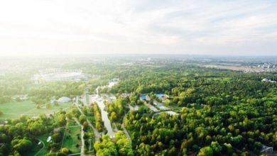 Park Śląski ogranicza koszenie (fot. silesia.info