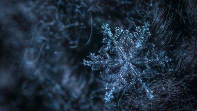 Gwałtowne burze z gradem i towarzyszący im porywisty wiatr. Synoptycy wydali właśnie ostrzeżenie meteo - pogoda w woj.śląskim już w najbliższych godzinach może gwałtownie się załamać ! (fot.poglądowe - pixabay.com)