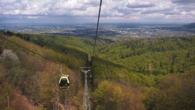 Zmienione rozkłady jazdy, obostrzenia i odstępy. Długi weekend to nie sama sielanka!