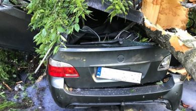 Katowice: Skoszone drzewa i BMW rozerwane na strzępy! Koszmarny wypadek na Beskidzkiej!