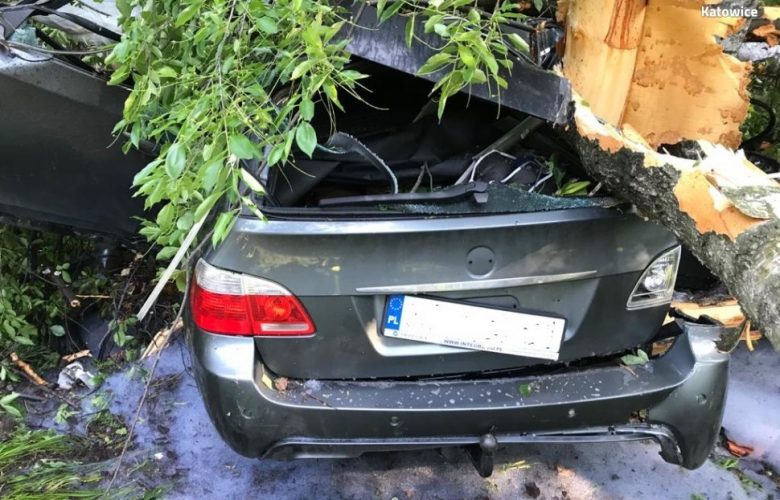 Katowice: Skoszone drzewa i BMW rozerwane na strzępy! Koszmarny wypadek na Beskidzkiej!