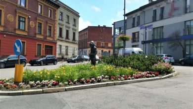 Śląskie: Przyszedł przeprosić mamę. W ręku miał kwiaty z pobliskiego klombu, które ukradł (fot.Śląska Policja)