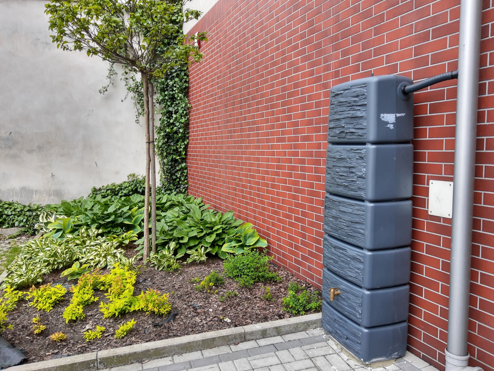 „Łapiemy deszczówkę", czyli walka z suszą w Katowicach (fot.UM Katowice)