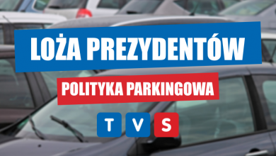 Polityka parkingowa woj. śląskiego (fot. pixabay.com)