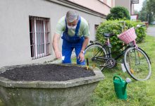 Katowice: Adoptuj donicę i posiej łąkę. Miasto daje nasiona i kompost (fot.UM Katowice)