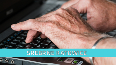 Srebrne Katowice: Pokolenie baby boomers na rynku pracy (fot. pixabay.com)