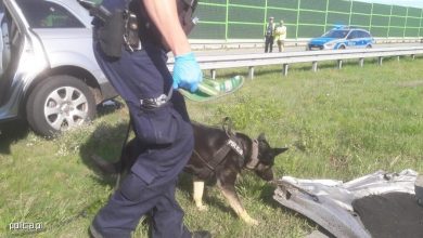 Tragiczny wypadek na autostradzie A1. Nie żyje kierowca hondy. Sprawca wypadku uciekł! Trwają poszukiwania (fot.policja.pl)