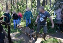 Uciekł z pumą. Policja z Zawiercia wydała oświadczenie