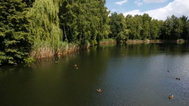 Park Kuronia w Sosnowcu wypięknieje! Zmieni się niemal wszystko