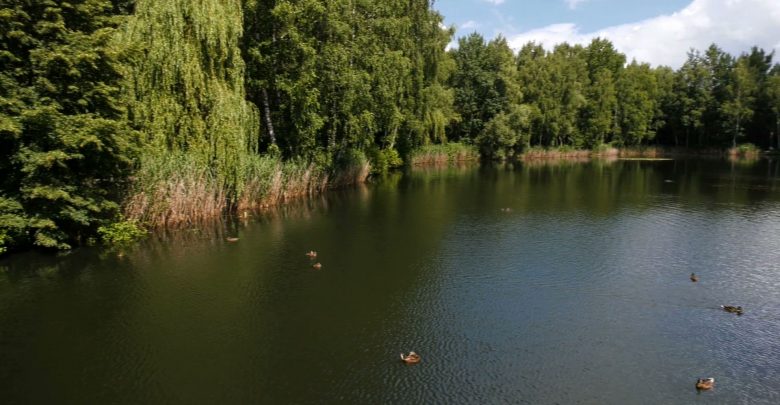 Park Kuronia w Sosnowcu wypięknieje! Zmieni się niemal wszystko