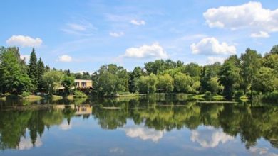 Sosnowiec: Zmiany, zmiany, zmiany. W Parku im. Jacka Kuronia powstanie tężnia solankowa, ale nie tylko (fot.UM Sosnowiec)