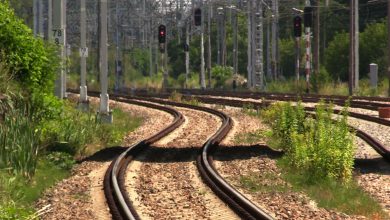 Wciąż do trasy przebiegu trasy uwagi mają władze Śląskiego Ogrodu Botanicznego