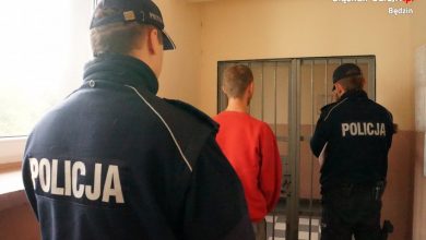 Śląskie: Z siekierą i nożem na matkę. 29-latkowi grozi 5 lat więzienia (fot.Śląska Policja)