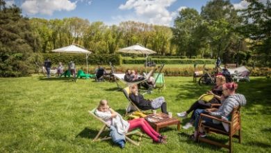 "Śniadanie na trawie" wraca do Parku Śląskiego. Wpadajcie do Rosarium w każdą sobotę lipca i sierpnia (fot.Park Śląski)